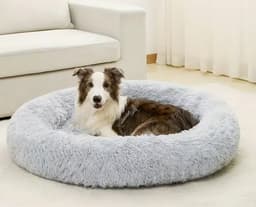 Wool