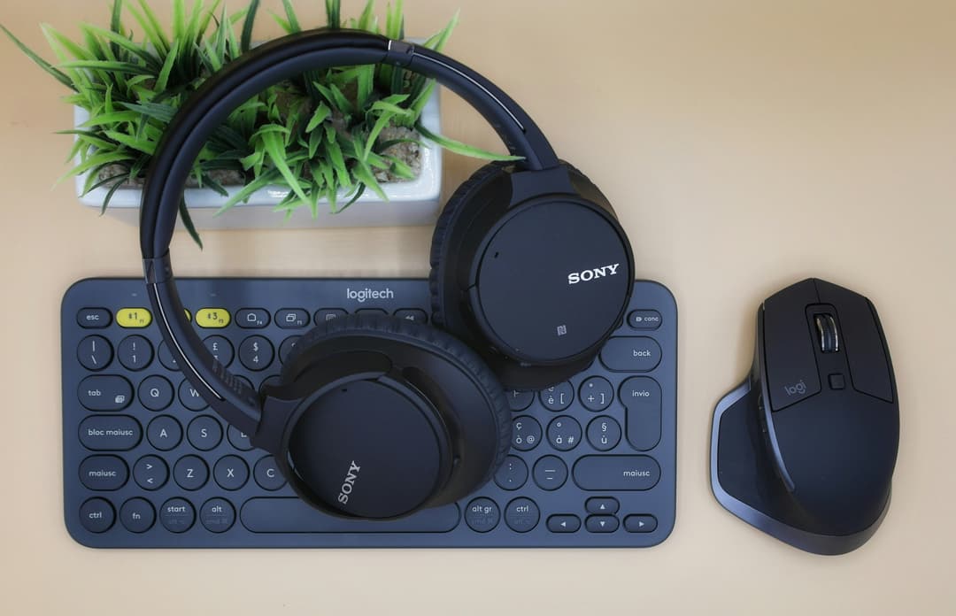 Noise Cancelling Earbuds