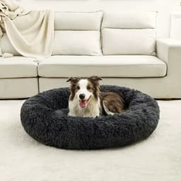 Wool